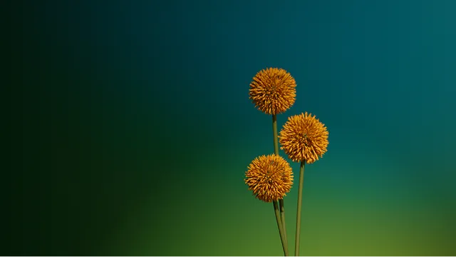 Цветы