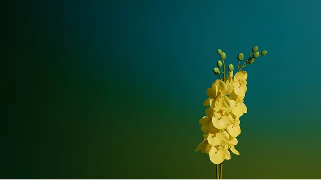 Цветы