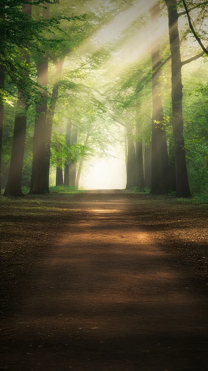 Inspiring<br />
Filevsky park