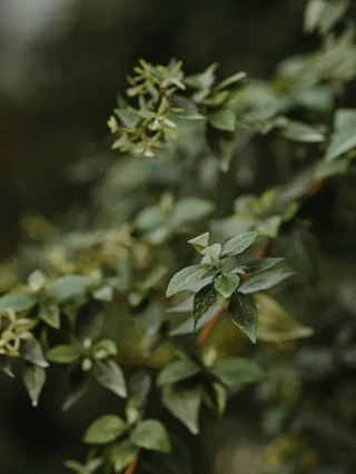 Surrounded by 7 parks