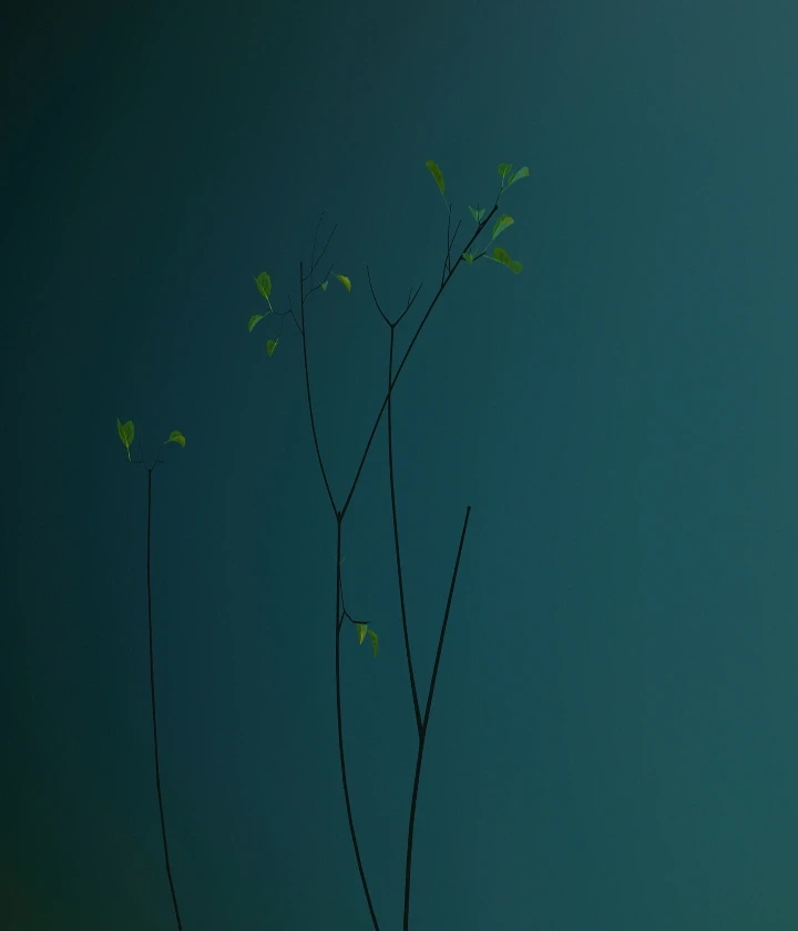 Инфраструктура